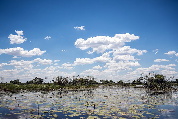 BWA NW OkavangoDelta 2016DEC02 Mokoro 029